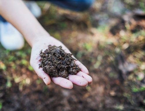 Understanding Soil Conditions and Drainage for Egress Window Well Installations in the Denver Region