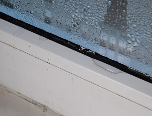 Colorado Window Well Maintenance: A Seasonal Checklist to Prevent Freezing, Flooding, and Rust